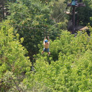 Adventure Park: An unforgettable outdoor experience