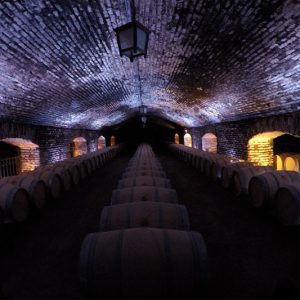 Viña Concha y Toro Traditional Winery & Origin Market
