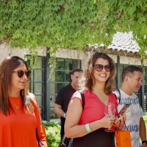 Tours through Viña Concha y Toro: multiple and exclusive schedules