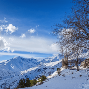 Excursão panorâmica dos Andes edição de inverno