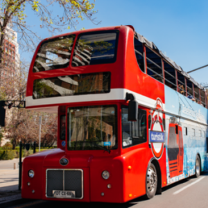 Plus Edition 1 día: Big Bus, Teleférico, Funicular & Buses Panorámicos